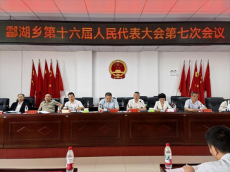 酃湖乡：“四个聚力”，奋力谱写酃湖现代化建设新篇章