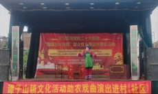 衡南县谭子山镇携手市博物馆开展