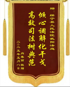武阳法庭高效解纷  彰显司法为民担当