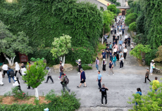 岳阳这家生态工厂火出圈 百余记者解锁“绿色密码”