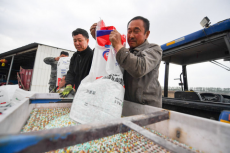 黑土粮仓”春耕忙——吉林推进现代化大农业建设一线观察