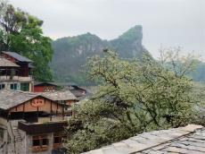 花溪石板：清改治理焕新颜  初夏石板花事繁    