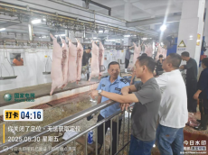 衡阳县节前开展生猪屠宰检疫监督指导 守护群众 “放心肉”
