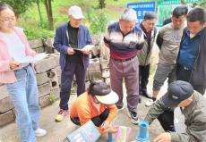 六大河报道 | 赫章古基土著益生菌种植小麦增产17.4%
