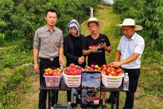 安徽庐江：书记四人寻 带货助农忙