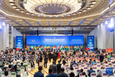 第四届中国－非洲经贸博览会在长沙举行