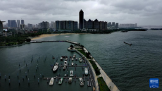 台风“蝴蝶”在广东雷州二次登陆