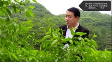 公益路上的“最美志愿者” | 好人刘兵兄弟追记•公益篇