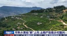 六大河报道 | 央视等多家媒体关注贵州毕节“土著益生菌”