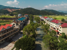 福建永安：创新“四带”模式绘就乡村振兴巾帼路