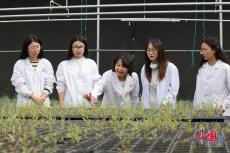 “胡杨公主”李志军 让“沙漠卫士”快速成长