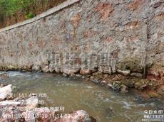 八旬台胞“回乡记”：为两岸青年交流架起“连心桥”