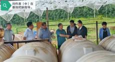 全国著名微生物专家刘作易为毕节试验示范基地“把脉”