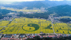 文明新风润万家 振兴画卷绘新颜