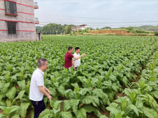 湖南信息学院艺yang青春学生团队走进衡阳县官町村调研