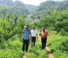 六大河报道 | 李克明一行到放珠镇开展看学帮活动