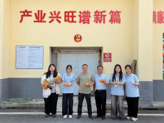 邵阳学院文学院“三下乡”：扎根新宁沃土 绘就振兴画卷