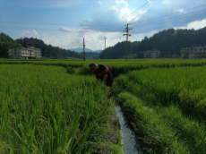 一位基层干部的乡村情怀