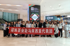 深耕扩大东南亚出口  努力开辟新渠道市场  