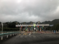 六大河•特写篇 | 百里杜鹃迎来最美季节