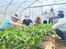 六大河 | 毕节老科协“看学帮”活动在纳威赫迎“热”而上