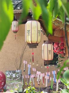 掩藏在湘西大山中的国际范茶园风物 