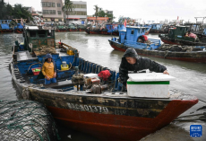海南：伏季休渔结束 渔船避风暂缓出海