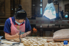 莆田仙游：推动传统工艺美术产业升级转型