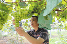 衡阳市皇田村：千年窑火“融”文旅 一方陶土“活”乡村