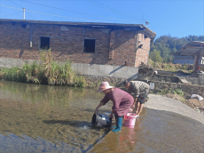 福建永安：文江溪畔的一场特殊生态补偿