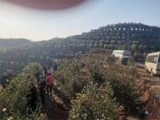 湖南泸溪华强油茶携手千户农民共绘乡村振兴新画卷