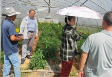 六大河报道 | 毕节市老科协看学帮进纳雍迎接全国科普月