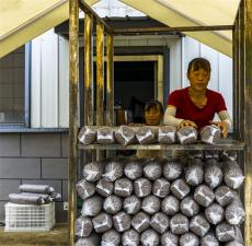 安徽庐江：食用菌生产进入黄金季节