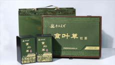 构建食叶草产业，助力湖南乡村振兴新活力