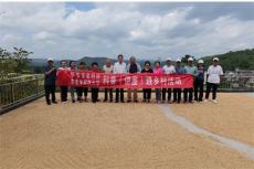 六大河报道 | 贵州省市老科协在黔西锦星开展水稻测产活动