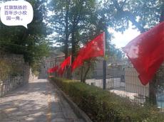 看沙土试验区“3+6+3”教育工作机制如何助推教育发展