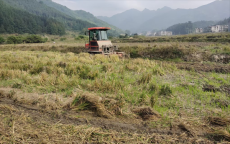 黄土矿镇：做好秸杆综合利用文章 助力乡村振兴产业发展