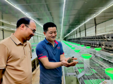 福建永安：人大代表以“兔”为媒 奏响乡村共富曲