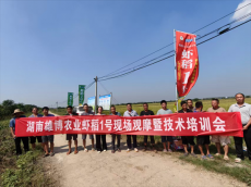 湖南雄博农业：科技赋能 助力优质稻增产增效