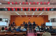 衡南县法院邀请人大代表、政协委员旁听新型毒品案件庭审