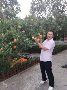 《沉默的荣耀》：于无声处听惊雷，向死而生铸丰碑 