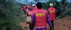 常宁市宜阳街道：代表巡山护“金果” 茶油飘香映初心