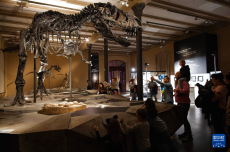 柏林：博物馆里的科学“校园”