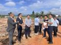 文昌市委常委陈明雁调研竹基材料生产基地建设