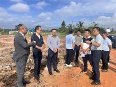 文昌市委常委陈明雁调研竹基材料生产基地建设