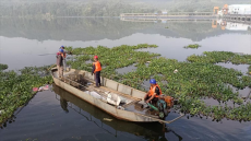 福建永安：“组合拳”治理水葫芦 守护河道绿水长流