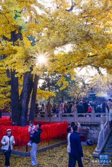 初冬京郊：斑斓画卷徐徐展开