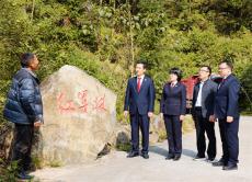 行政司法“组团护绿” 四部门“红军林 古树立“令”护航