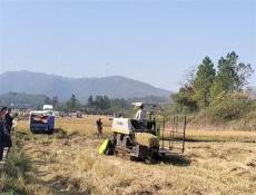 科技赋能秸秆变宝！邵东市举办秸秆综合利用现场演示会