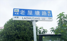 珠晖区：173条乡村道路有了名字 117个智慧路牌同步“上线”